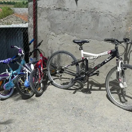 Bienvenue Dans Notre 